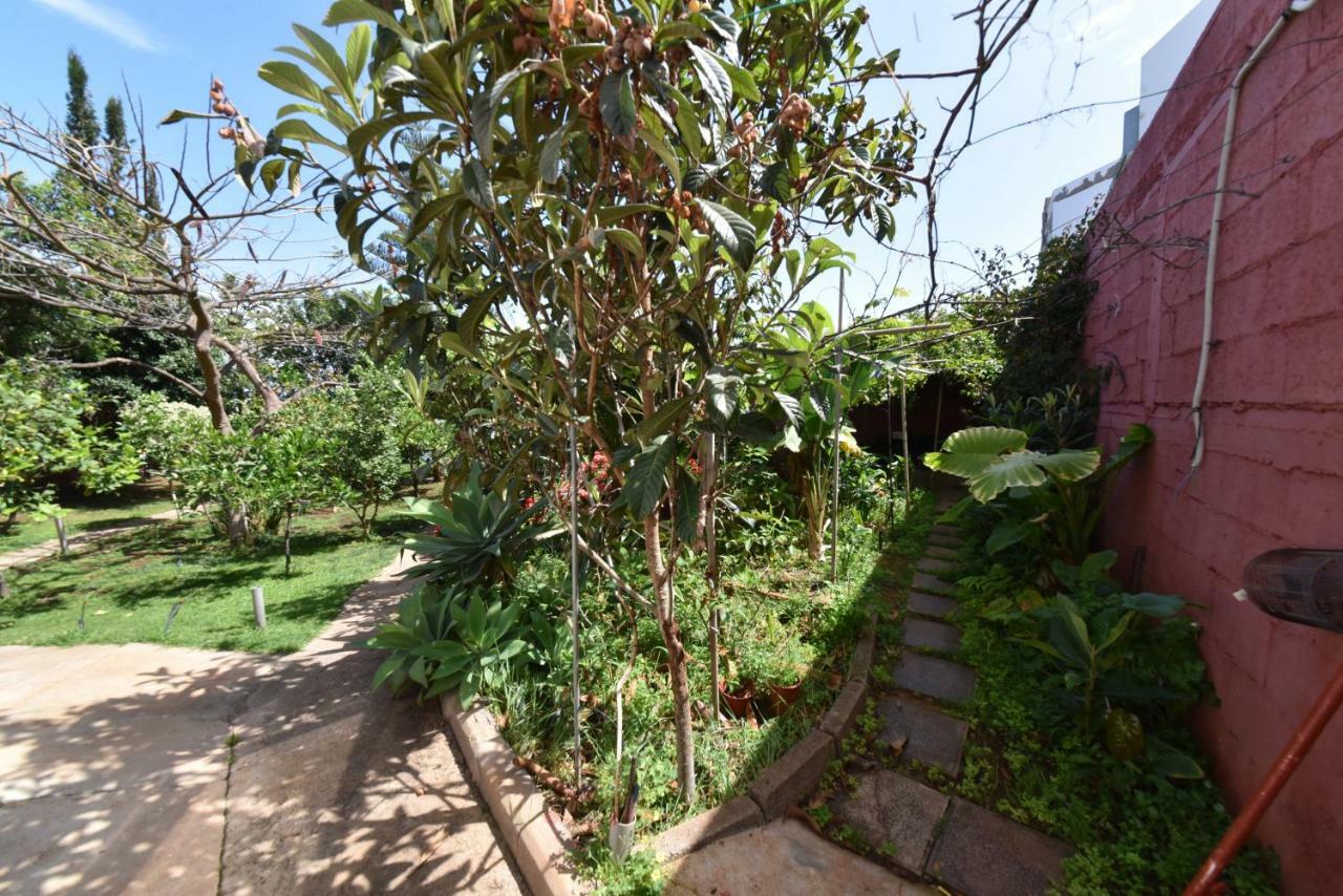فيلا Casa El Tonelero Con Jardin Y Piscina Privada Gáldar المظهر الخارجي الصورة