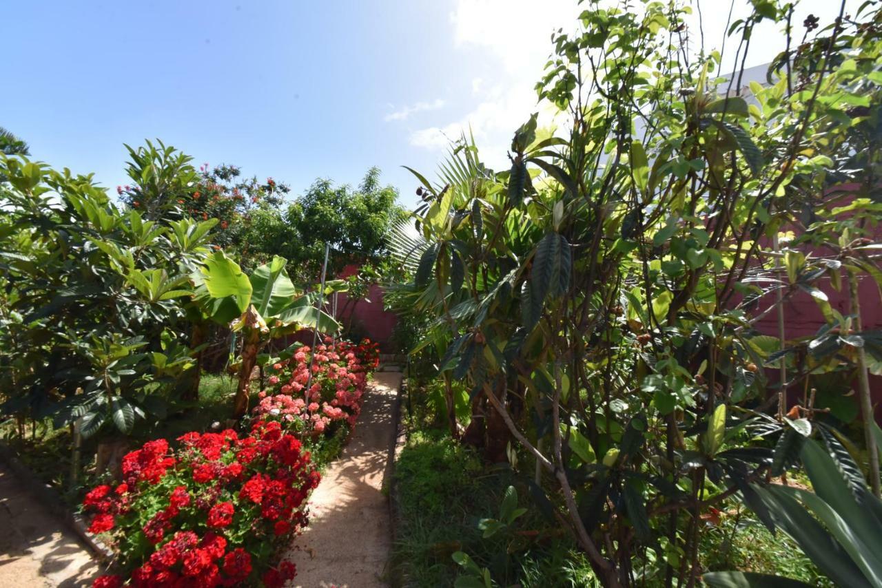 فيلا Casa El Tonelero Con Jardin Y Piscina Privada Gáldar المظهر الخارجي الصورة