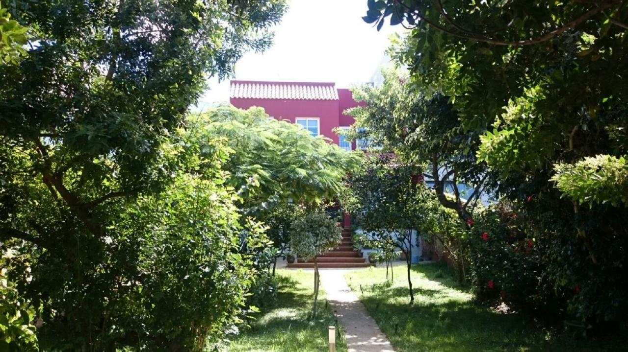 فيلا Casa El Tonelero Con Jardin Y Piscina Privada Gáldar المظهر الخارجي الصورة